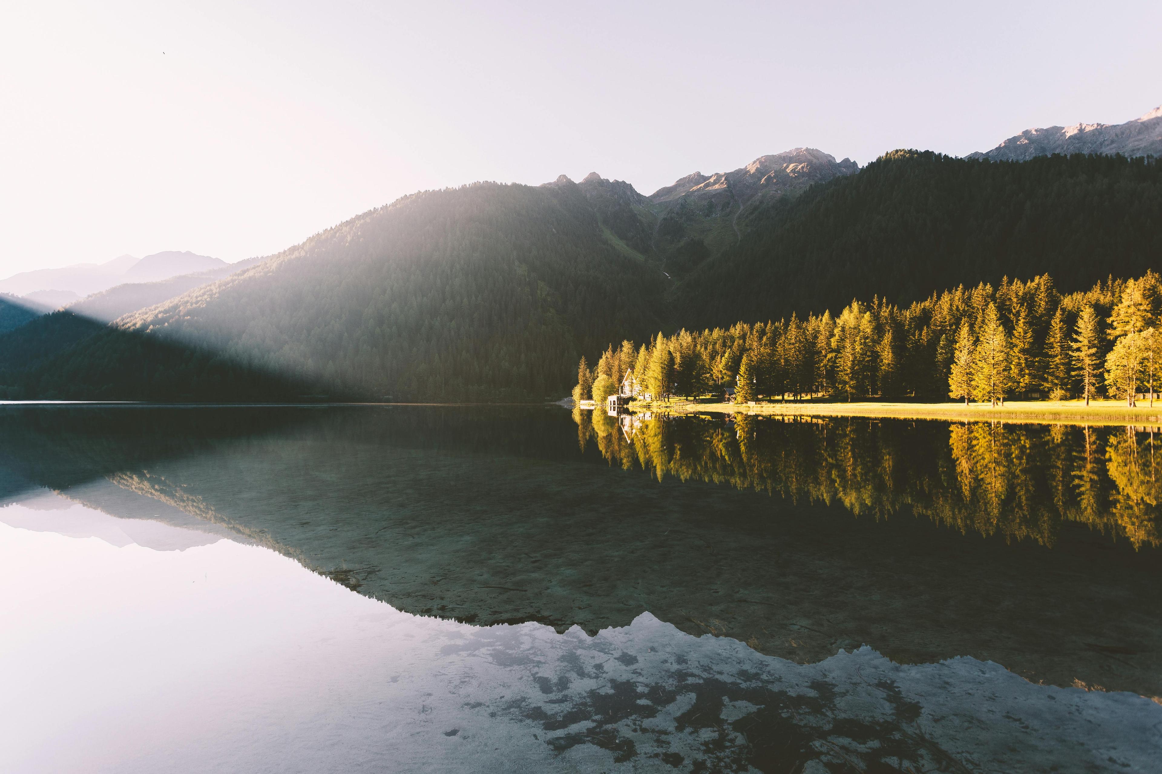 Free Resources background